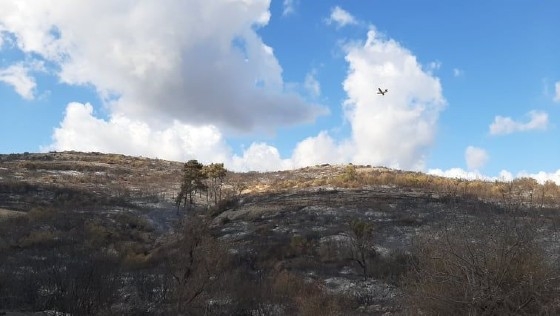 WWF: "Η έναρξη της πυρκαγιάς στη Λευκίμη συνδέεται με τις εκπαιδευτικές βολές"